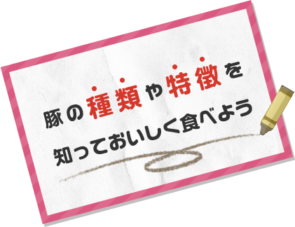 豚の種類や特徴を知っておいしく食べよう